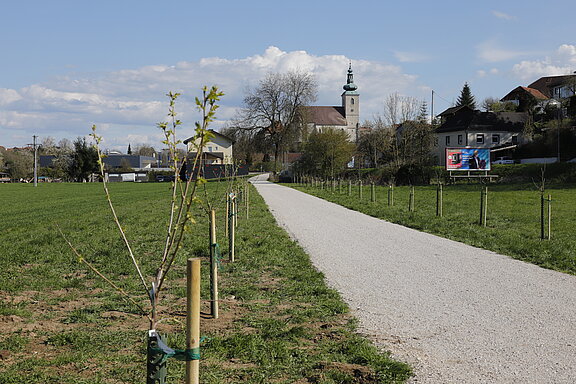 Radweg_2.JPG  